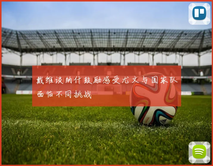 戴维谈纳什鼓励感受尤文与国家队面临不同挑战
