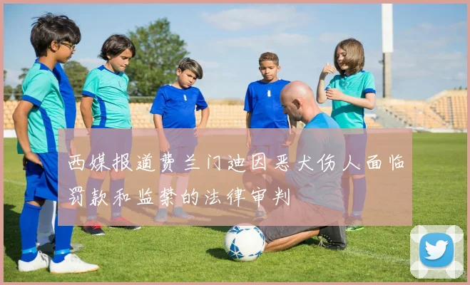 西媒报道费兰门迪因恶犬伤人面临罚款和监禁的法律审判